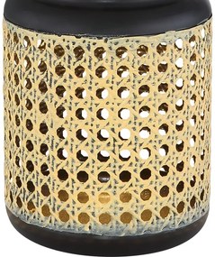 Globo 33668 - LED Solárne svietidlo SOLAR LED/0,06W/3V 3000K IP44 bambus