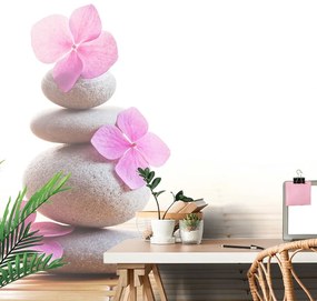 Samolepiaca fototapeta balans kameňov a ružové kvety - 300x200