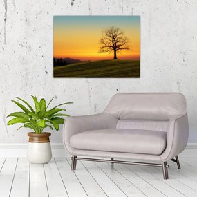 Sklenený obraz stromu na poli (70x50 cm)