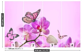 Fototapeta Vliesová Orchid motýľ 250x104 cm