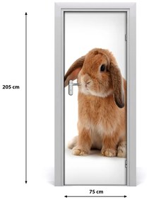 Samolepiace fototapety na dvere králik 75x205 cm