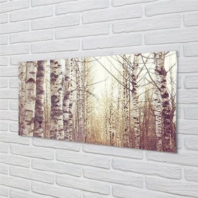 Sklenený obraz stromy 100x50 cm