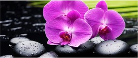 Obraz - Orchidey (120x50 cm)