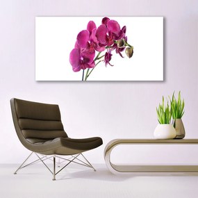 Obraz plexi Orchidea kvety príroda 120x60 cm