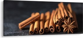 Obraz škorice (120x50 cm)