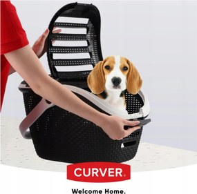 Curver Prepravka pre zvieratá, antracitová