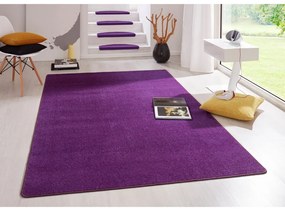 Tmavofialový koberec 160x240 cm Fancy – Hanse Home