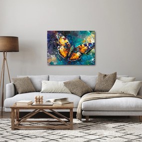 Obraz - Motýľ, olejomaľba (70x50 cm)