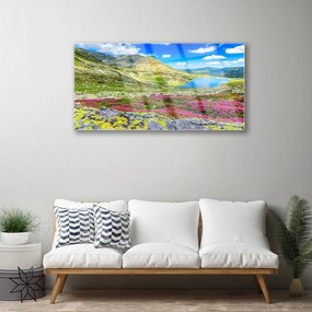 Obraz na skle Hora záliv lúka príroda 120x60 cm