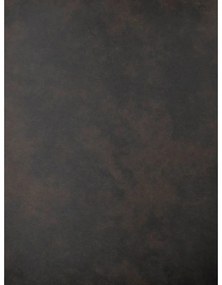 Tmavosivé jedálenské stoličky v súprave 2 ks Sierra – Rowico