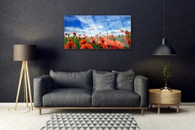 Skleneny obraz Lúka maky kvety 100x50 cm