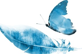 Obraz pierko s motýľom v modrom prevedení - 120x80