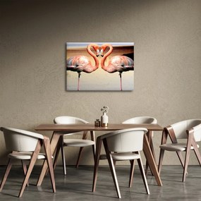 Obraz - dva plameniaky (70x50 cm)