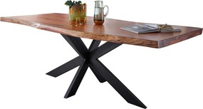 XXXLutz JEDÁLENSKÝ STÔL, akácia, farba akácie, 200/100/76 cm P & B - Stoly - 002741016603