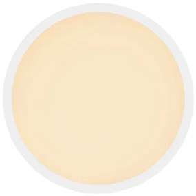 Globo 41562-24W - LED Kúpeľňové stropné svietidlo SAPANA LED/24W/230V IP44