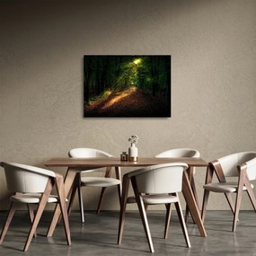 Sklenený obraz lesnej cesty (70x50 cm)