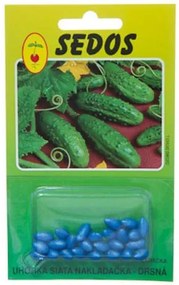 Bestent Uhorka siata nakladačka drsná 25 semien