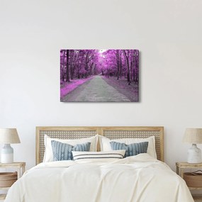 Obraz - Cesta parkom (90x60 cm)