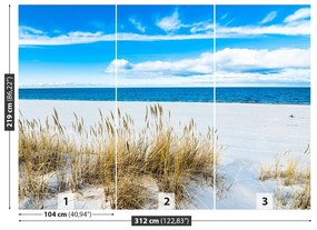 Fototapeta Vliesová Piesočná pláž 312x219 cm