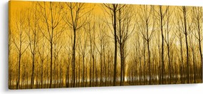 Obraz lesa pri západe slnka (120x50 cm)