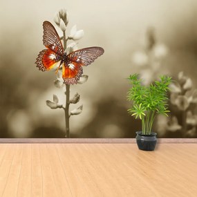 Fototapeta Vliesová Motýľ kvety 416x254 cm