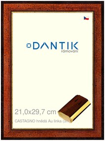 DANTIK rám na obraz 21x29,7 | CASTAGNO hnědá Au linka (Sklo Čiré)