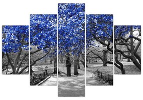 Obrázok - Modré stromy, Central Park, New York (150x105 cm)