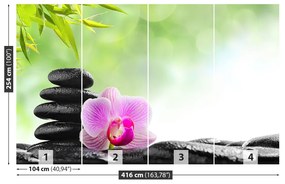 Fototapeta Vliesová Orchidea kamene 250x104 cm