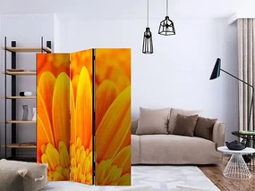 Paraván - Yellow gerbera daisies [Room Dividers] Veľkosť: 135x172, Verzia: Jednostranný