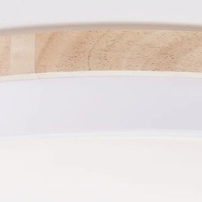 Brilliant - LED St. stropné svietidlo BAARLO LED/36W/230V pr. 50 cm biela + DO