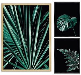 Súbor obrazov Botanica 3 ks