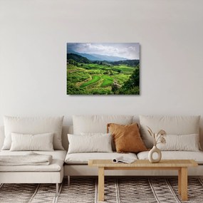 Sklenený obraz ryžových polí (70x50 cm)