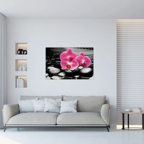 Obraz - Ružové orchidey (90x60 cm)