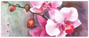 Obraz - Orchidey, aquarel (120x50 cm)