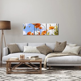 Obraz vlčích makov (s hodinami) (90x30 cm)