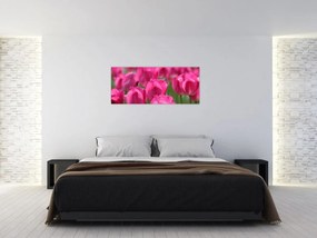 Obraz - Ružové tulipány (120x50 cm)