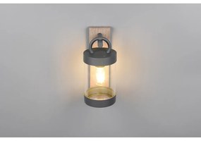 Nástenné vonkajšie svietidlo (výška 33 cm) Sambesi – Trio