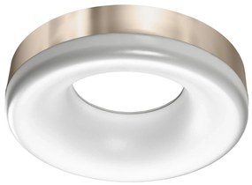 LED stropné svietidlo Ring Led 3000K Sn