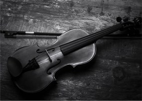 Sklenený obraz - Viola (70x50 cm)