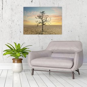Sklenený obraz - Strom na púšti (70x50 cm)