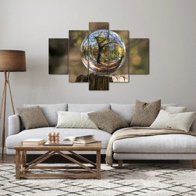 Obraz - Odraz v sklenenej guli (150x105 cm)
