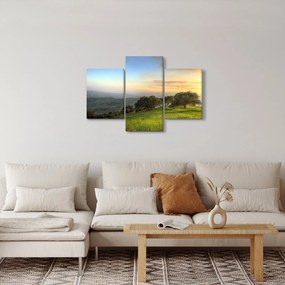 Obraz - Výhľad z kopca (90x60 cm)