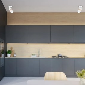 Bodové svietidlo VIDAR 1xGU10/25W/230V biela