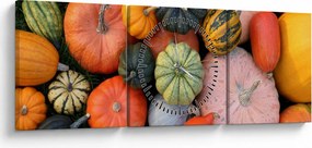 Obraz - Tekvica (s hodinami) (90x30 cm)