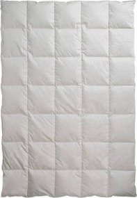 XXXLutz CELOROČNÁ PRIKRÝVKA, 135/200 cm, kačacie páperie Centa-Star - Prikrývky & vankúše - 003503030401
