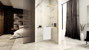 Rea Aero, sprchová zástena typu Walk-In 120cm, 8mm číre sklo, zlatý lesklý profil + polička a vešiak EVO, KPL-K8443
