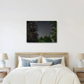 Obraz nočnej oblohy (70x50 cm)