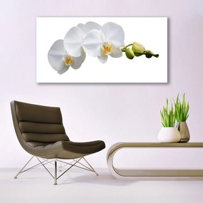 Obraz na akrylátovom skle Kvety rastlina príroda 120x60 cm