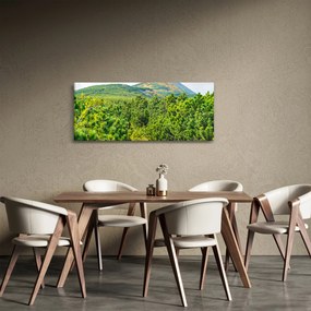 Obraz - Babi Hora, Poľsko (120x50 cm)