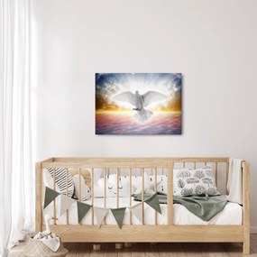 Obraz holubice (70x50 cm)